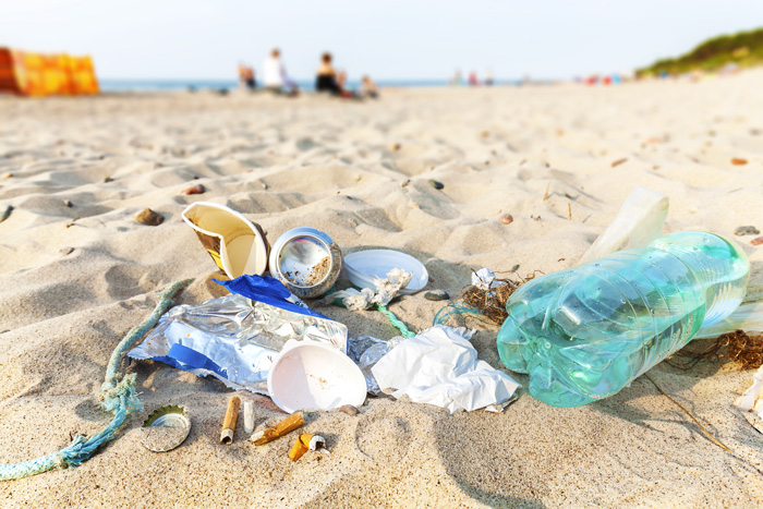 Adopt-A-Highway why you should help beach pollution