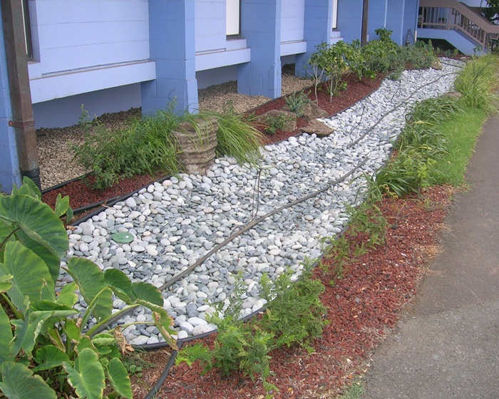 Install a vegetated swale